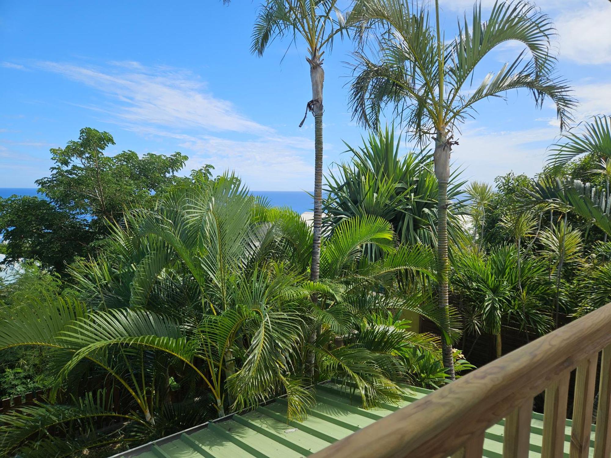 L'Ile En Ylang Apartment Saint-Leu Bagian luar foto